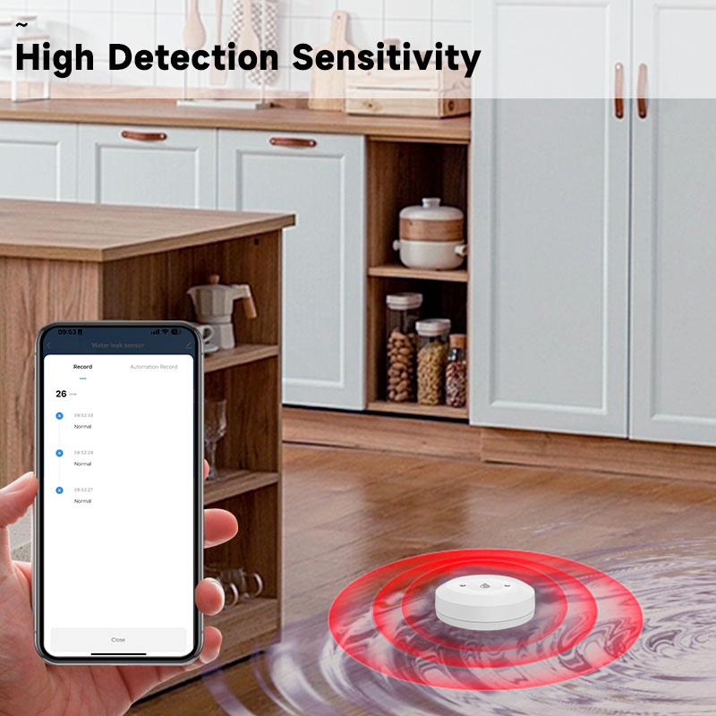 Tuya Zigbee2mqtt Water Immersi - Water Alarm Sensor recension och pris