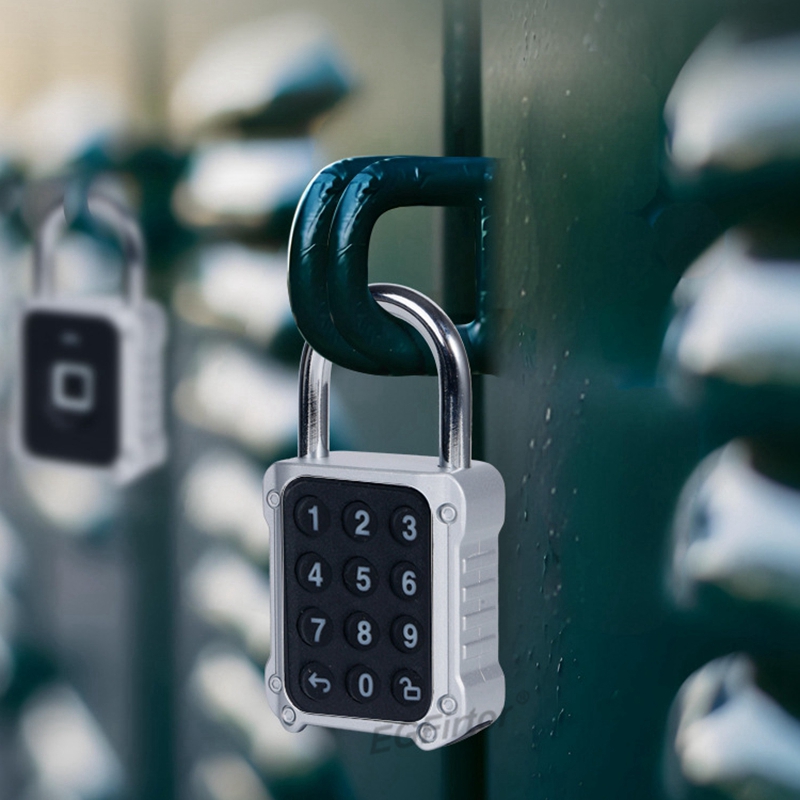 Tuya Bluetooth APP Remote Elec - Lockbox Key Secure recension och pris