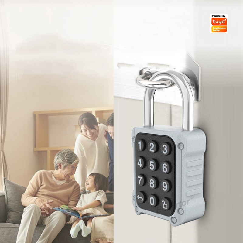 Tuya Bluetooth APP Remote Elec - Lockbox Key Secure recension och pris