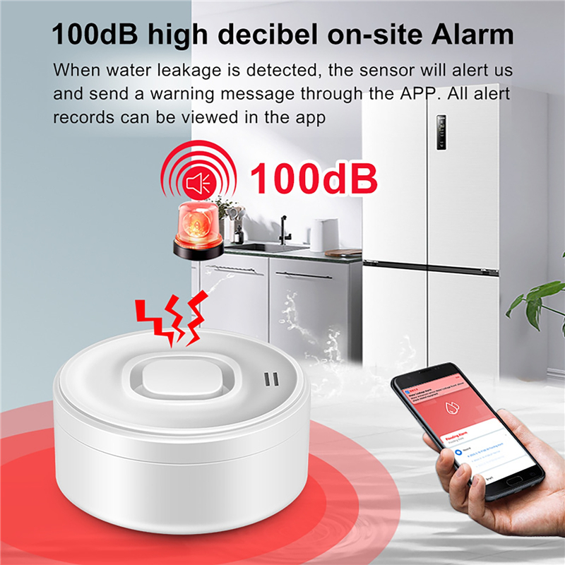 Smart WIFI Water Leak Detector - Water Alarm Sensor recension och pris