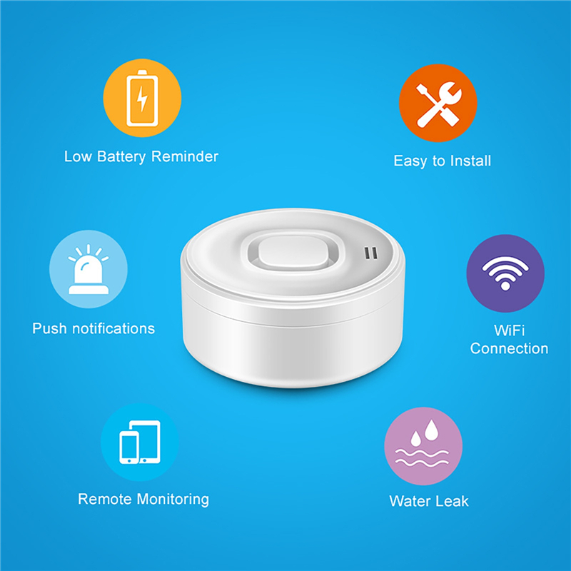 Smart WIFI Water Leak Detector - Water Alarm Sensor recension och pris
